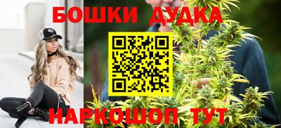 индика Балашиха