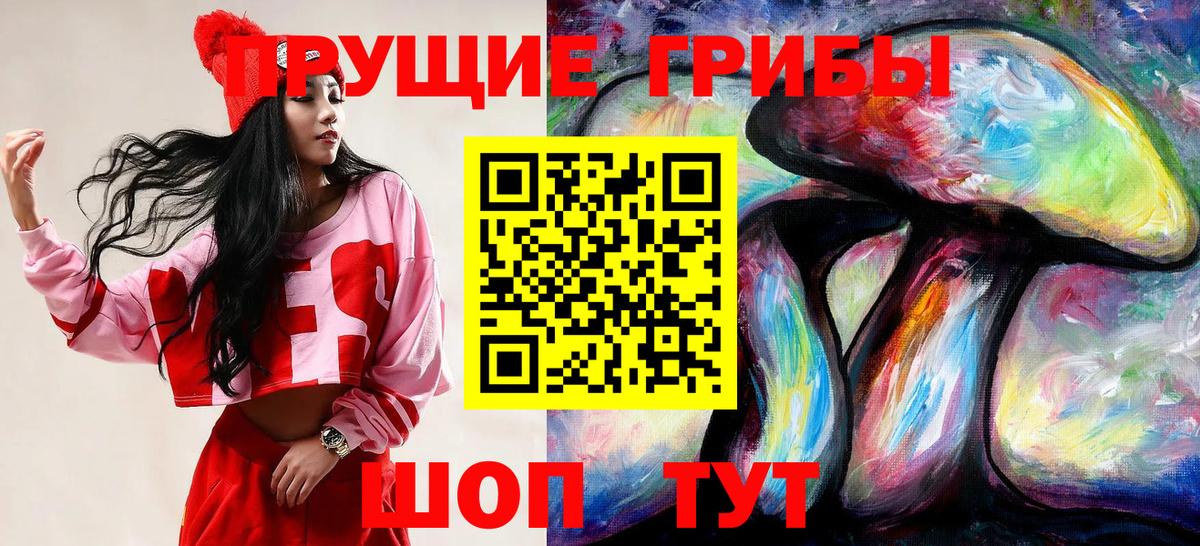 Галлюциногенные грибы Cubensis Железноводск