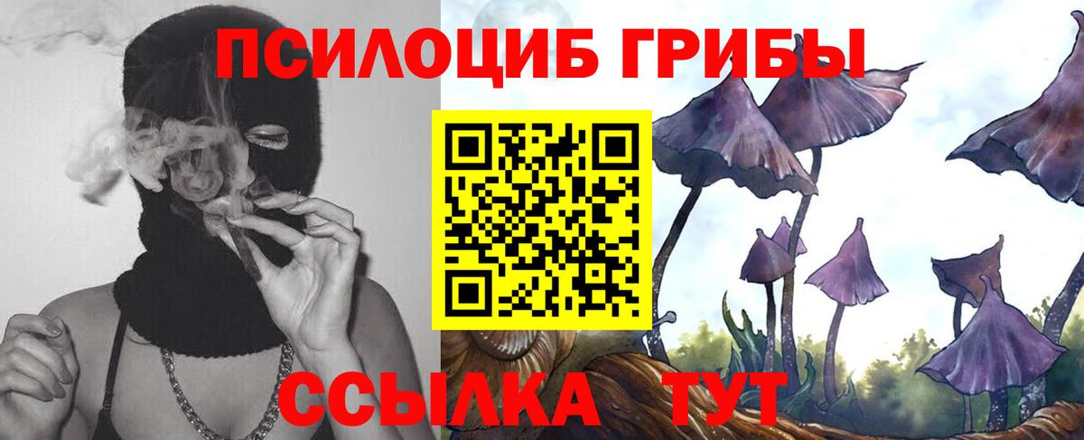 Железноводск  Галлюциногенные грибы GOLDEN TEACHER  Вход с VPN 